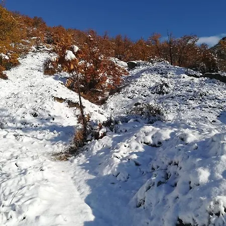 La Cancha Ii * Navalacruz