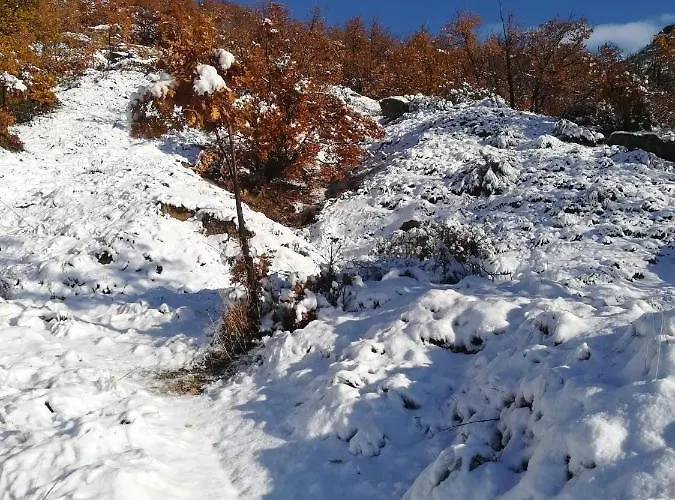 La Cancha Ii * Navalacruz